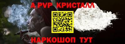 шишки Кандалакша