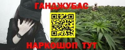 шишки Кандалакша