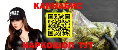 шишки Кандалакша
