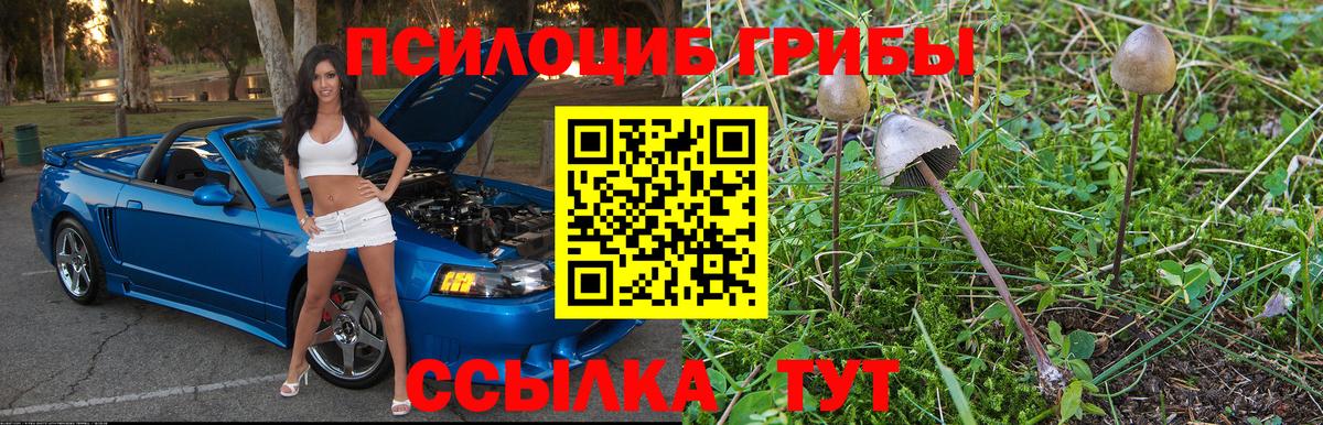 Псилоцибиновые грибы Magic Shrooms Куйбышев