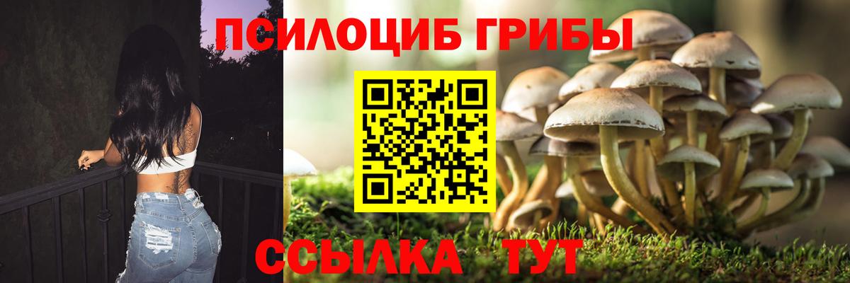 Меф кристаллы  Каннабис  Гашиш  Куйбышев  Кокаин  Меф  Вход с VPN 